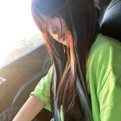 鸽之翼